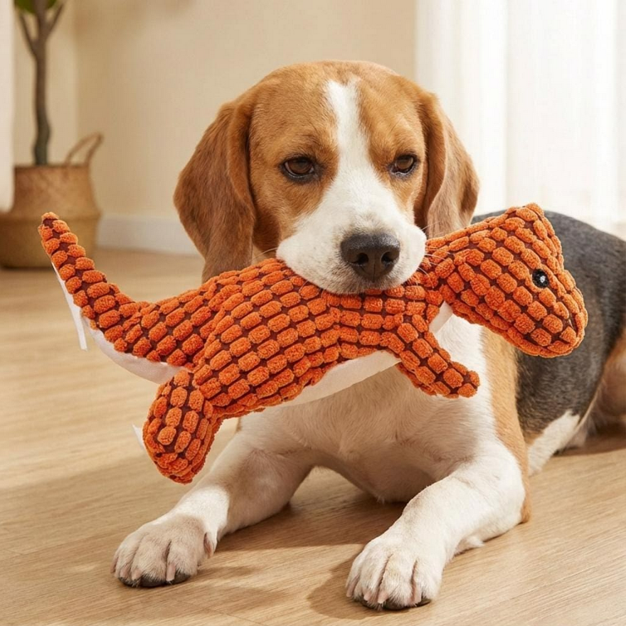 Jouets à mâcher