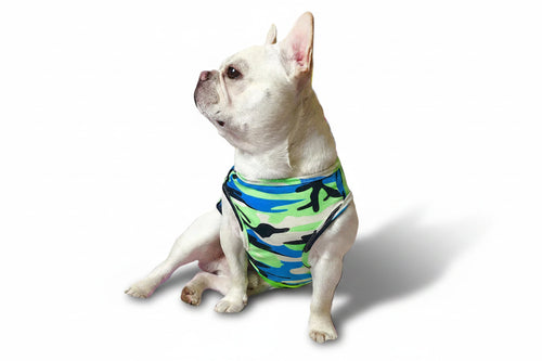 T-Shirt d'Été pour Chien — Coton, Imprimé Superman