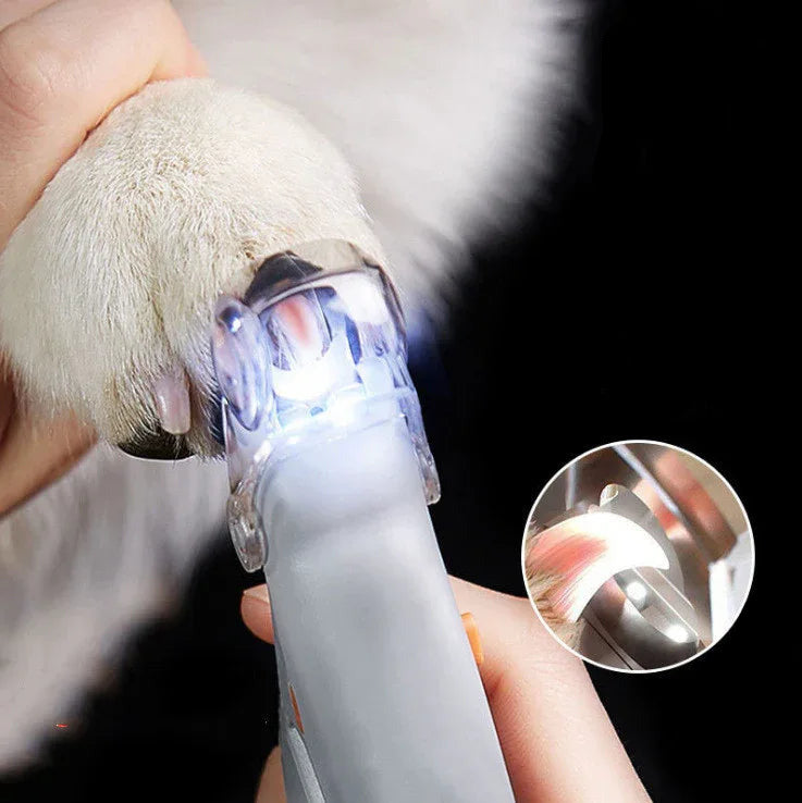 Coupe-Ongles LED Lumineux pour Animal — Loupe Grossissante 5x
