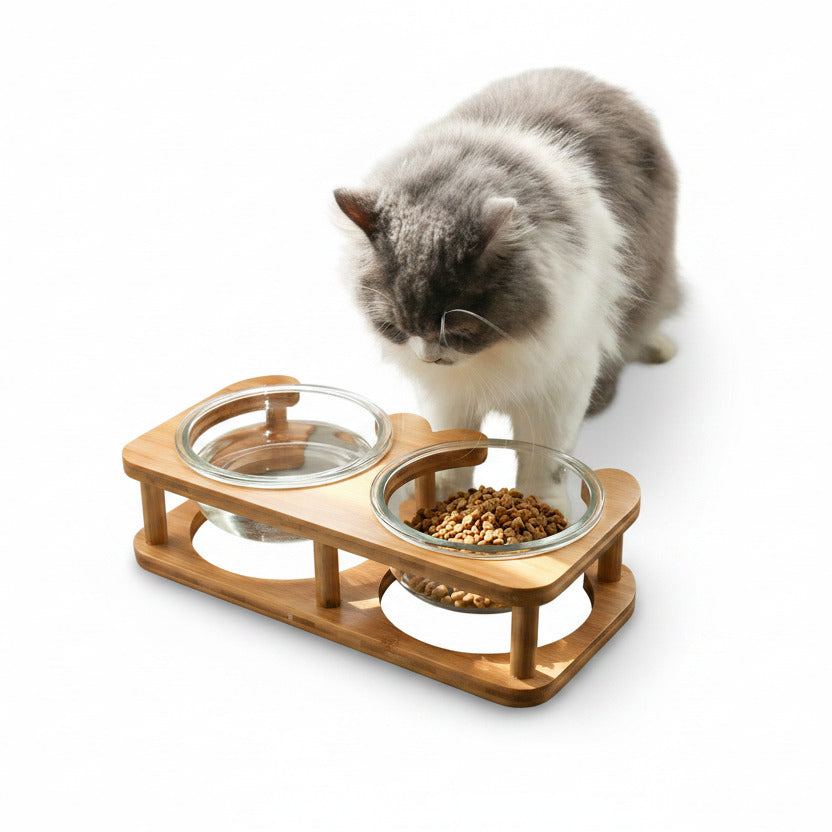 Bol en Verre pour Chat & Chien — Simple & Double, Cadre Rond