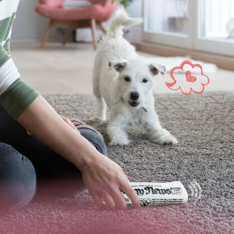 Jouet Couineur Journal pour Chien — Mâcher & Entraînement