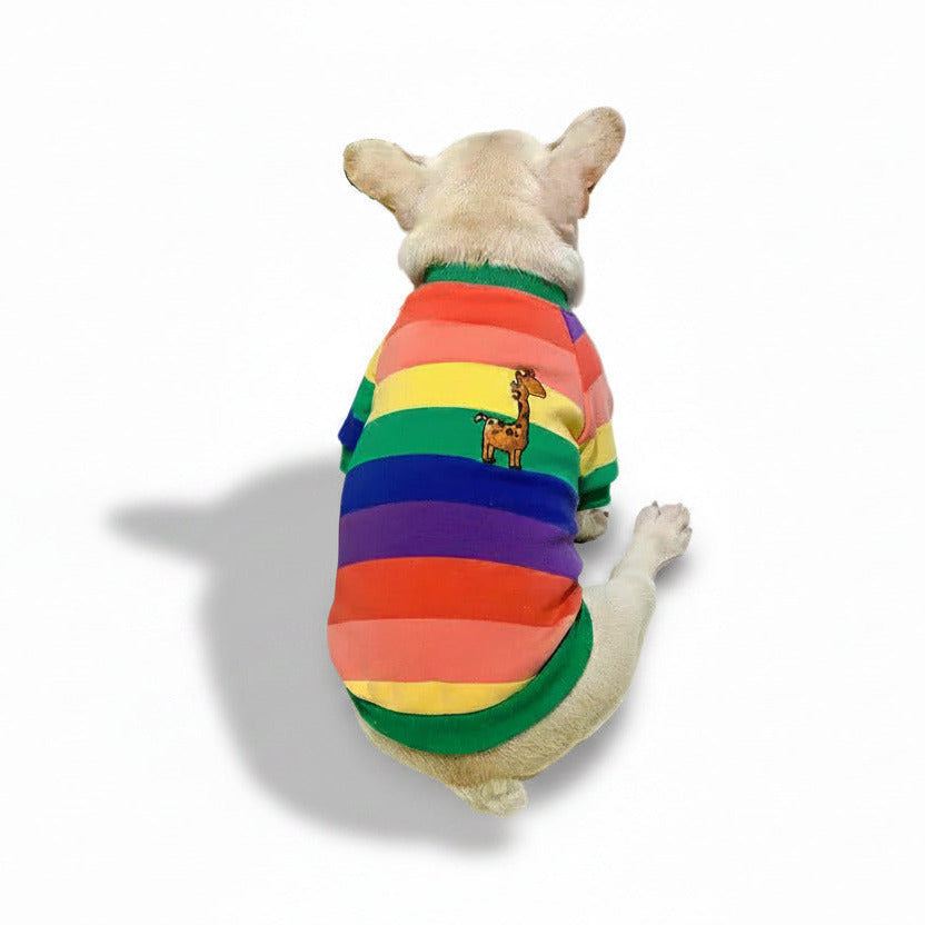 Pull Arc-en-Ciel pour Chien & Chat — Velours, Épais