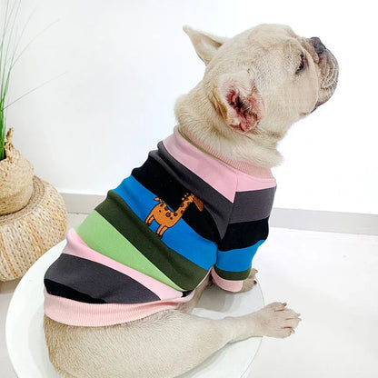 Pull Arc-en-Ciel pour Chien & Chat — Velours, Épais