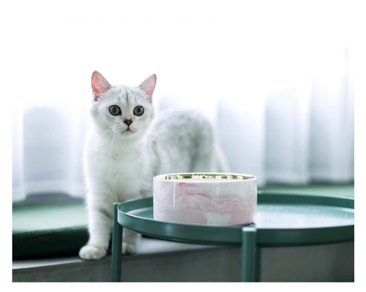 Ceramic Cat & Dog Bowl — Marble Pattern