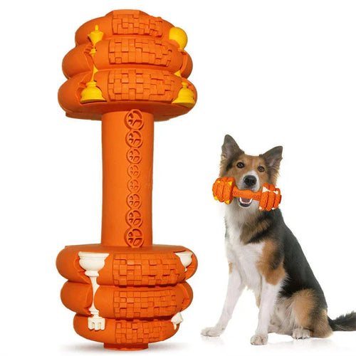 Jouet à Mâcher Solide pour Chien — Qualité Alimentaire, Nettoyage Dentaire, Interactif