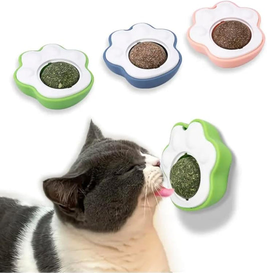 Catnip Ball Cat Toy — Edible, Teeth Cleaning, Interactive