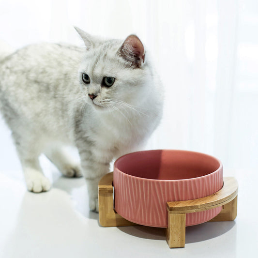 Ceramic Cat & Dog Bowl Set — Wood Stand, Arc Ten Frame