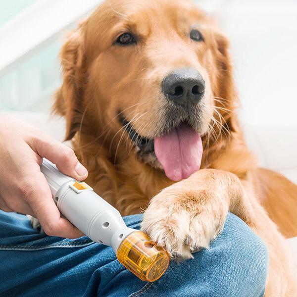 Coupe-Ongles pour Animal avec Garde de Sécurité — Anti-Surcoupe