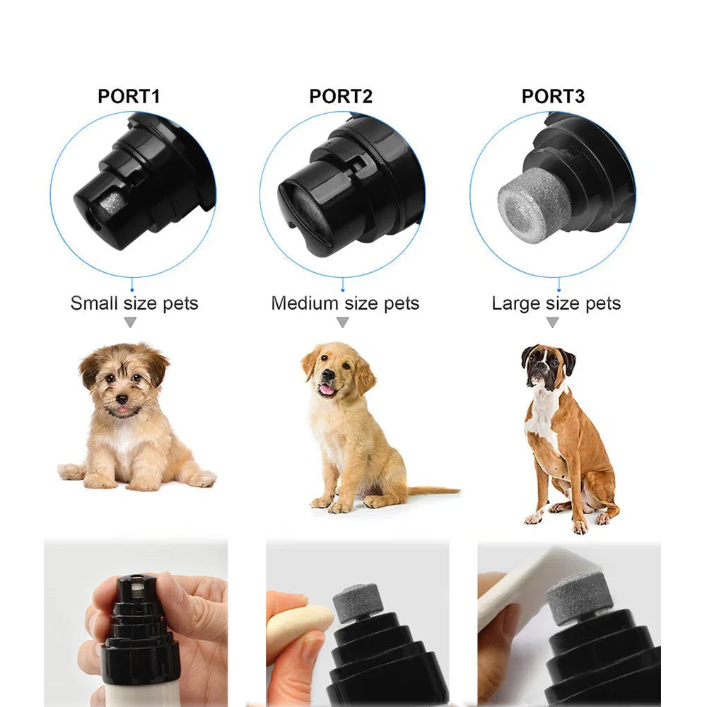 Lime à Ongles Électrique pour Chien — Rechargeable USB, Silencieuse