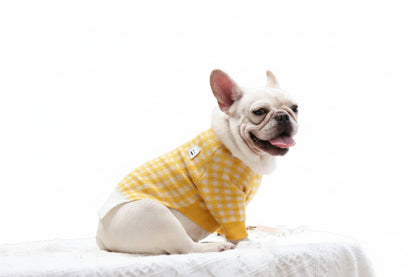 Pull Chaud pour Chien — Style Britannique, Laine