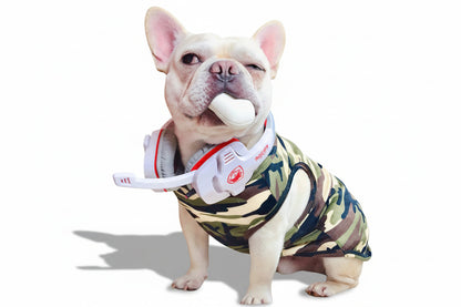 T-Shirt d'Été pour Chien — Coton, Imprimé Superman