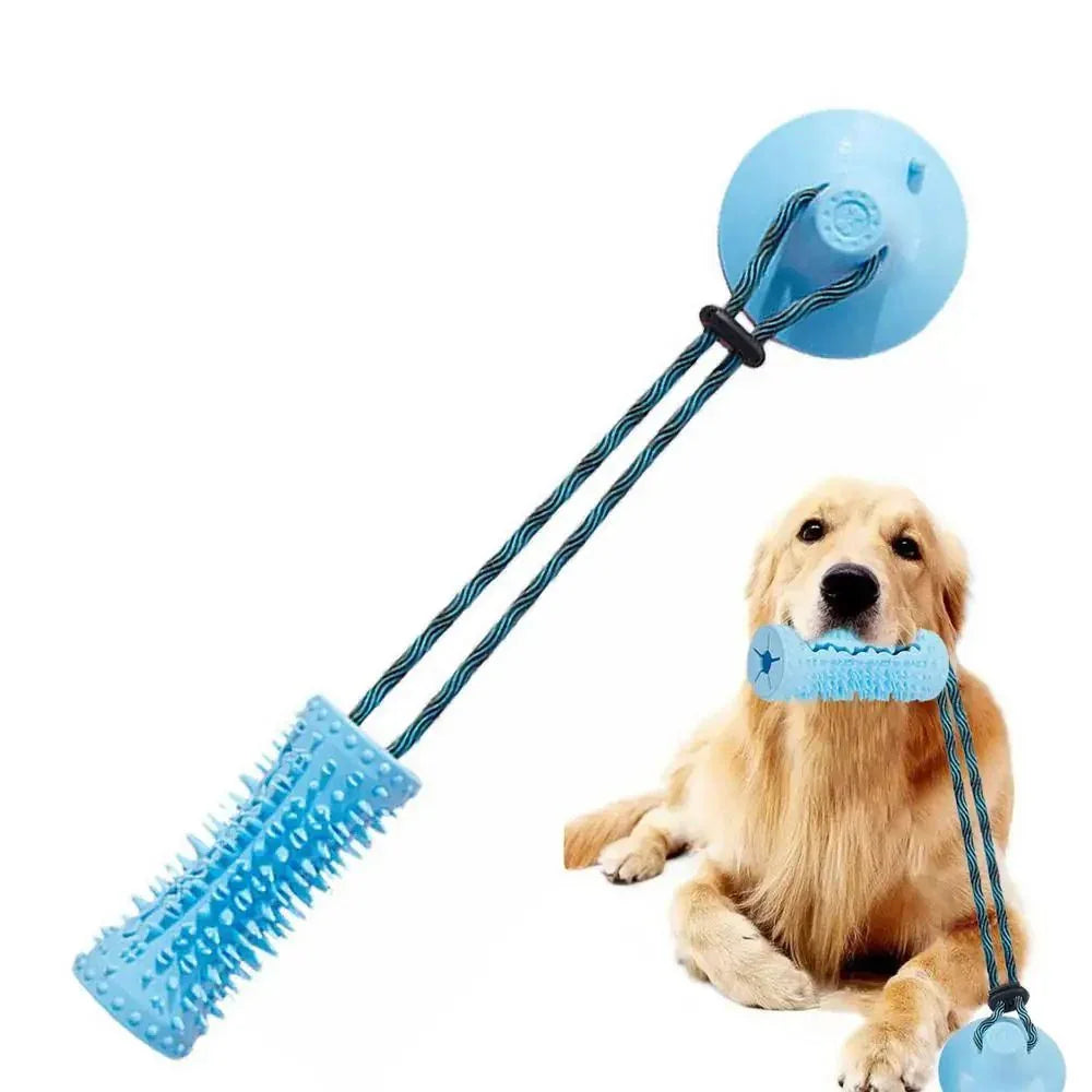 Jouet Interactif à Ventouse pour Chien — TPR, Distributeur de Friandises