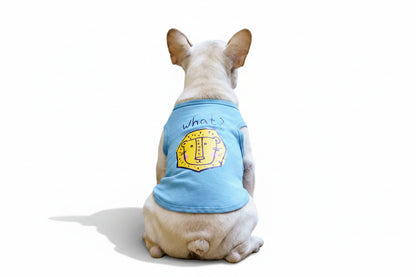 T-Shirt d'Été pour Chien — Coton, Imprimé Superman