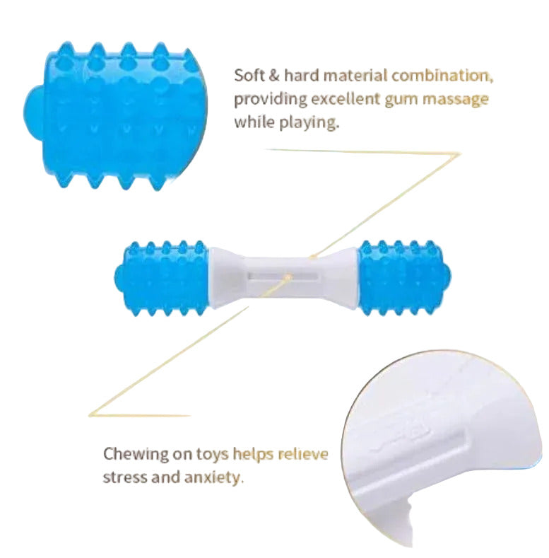 Jouet de Dentition pour Chiot — TPR, Soin Dentaire, 2–8 Mois