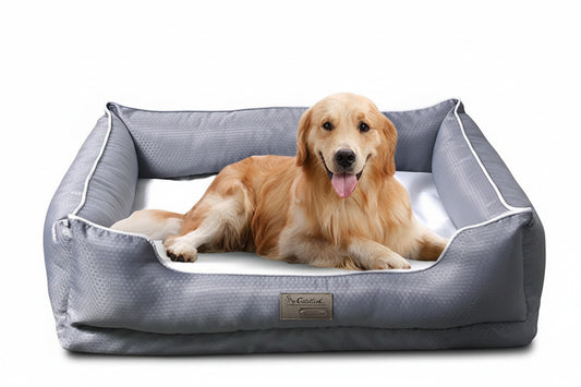 Panier pour Chien avec Housse Amovible — Lavable, Confortable