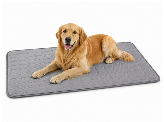 Tapis Rafraîchissant en Soie Glacée pour Animaux