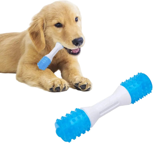 Jouet de Dentition pour Chiot — TPR, Soin Dentaire, 2–8 Mois