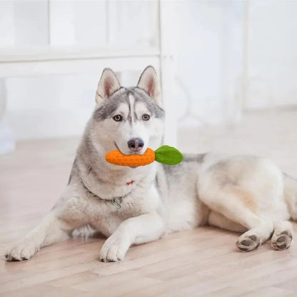 Carrot Rubber & Plush Dog Chew Toy — Squeaky, All Breeds