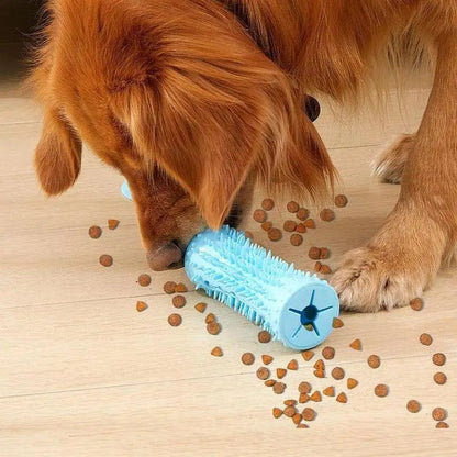 Jouet Interactif à Ventouse pour Chien — TPR, Distributeur de Friandises