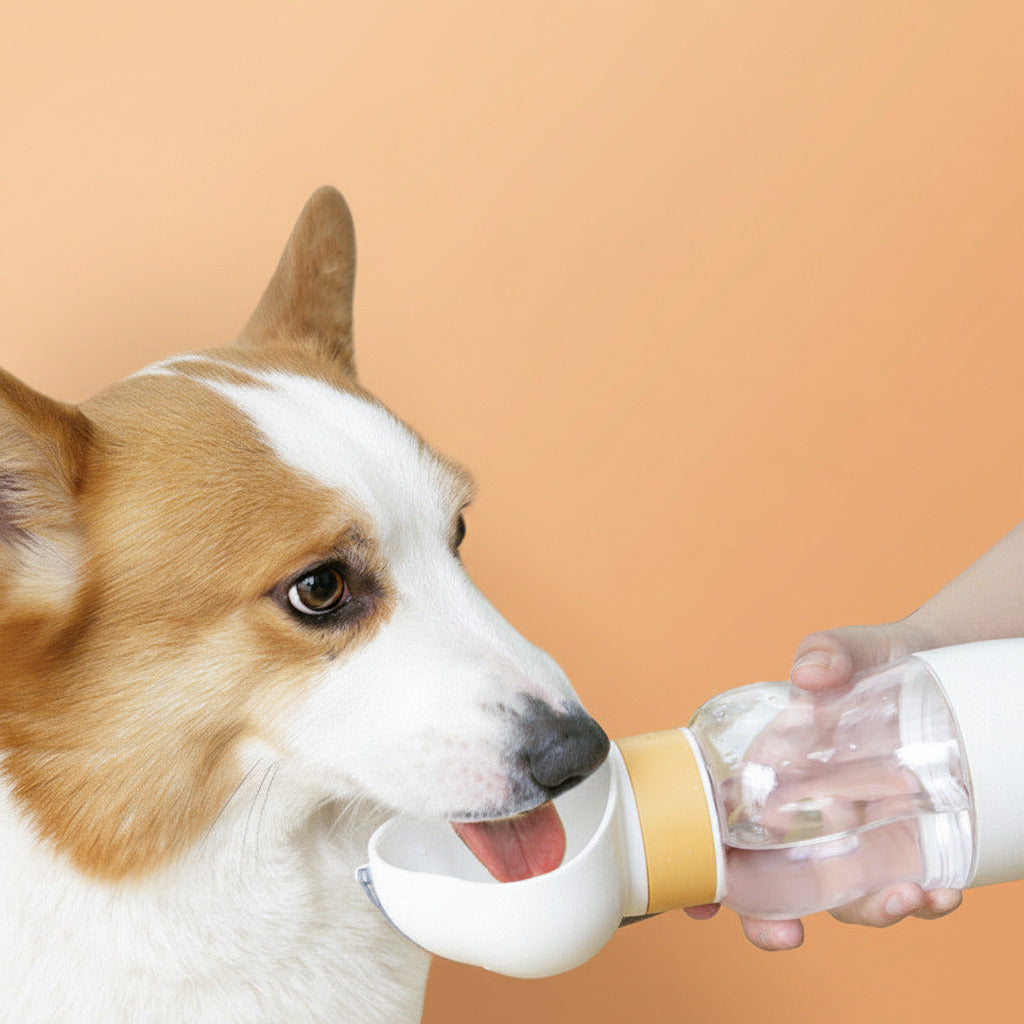 Gourde Portable pour Chien - Hydratation & Gamelle 2-en-1