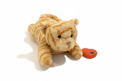 Jouet en Peluche Interactif pour Chat — Coordination, 7-14 ans